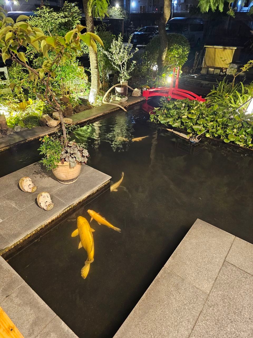Kansai Airport Spa Hotel Garden Palace — photo 6