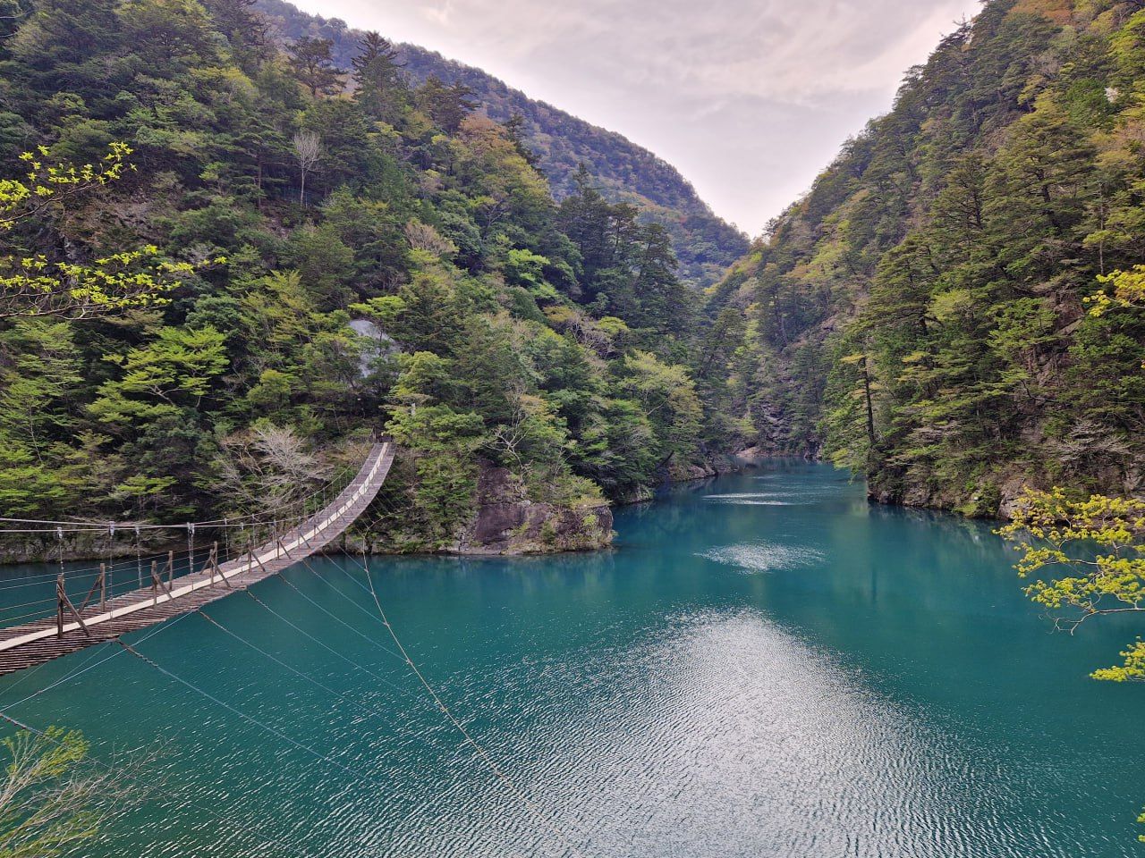 Suikoen — photo 13