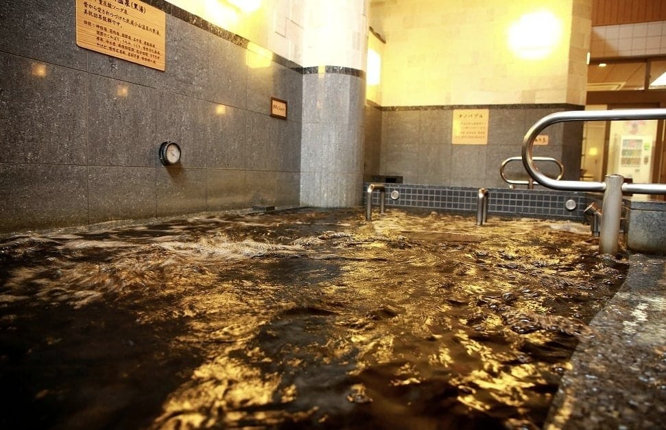 Musashi-Koyama Onsen Shimizu-yu, photo 3
