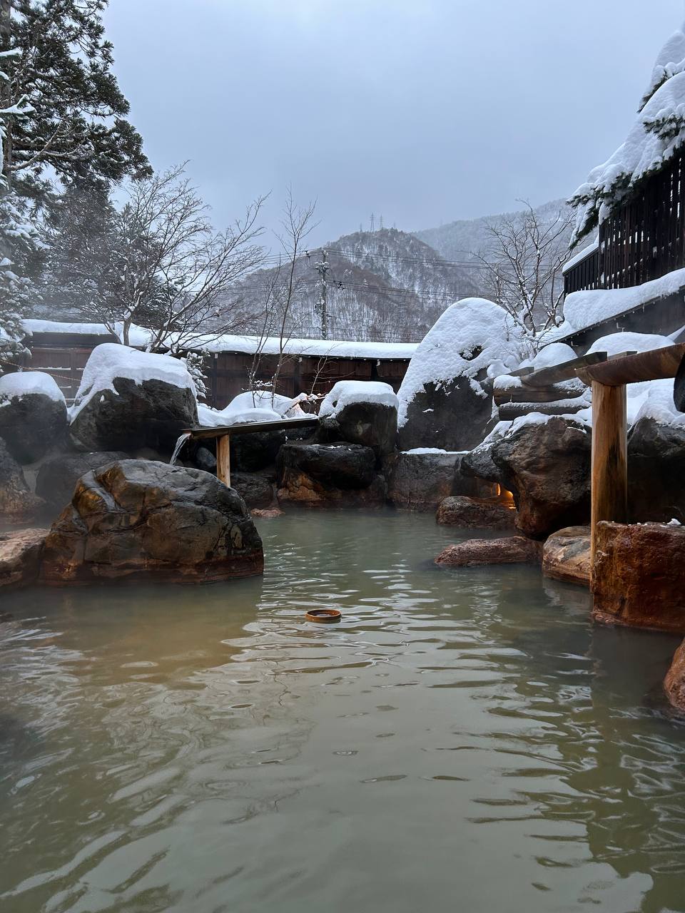 Hirayukan — photo 4