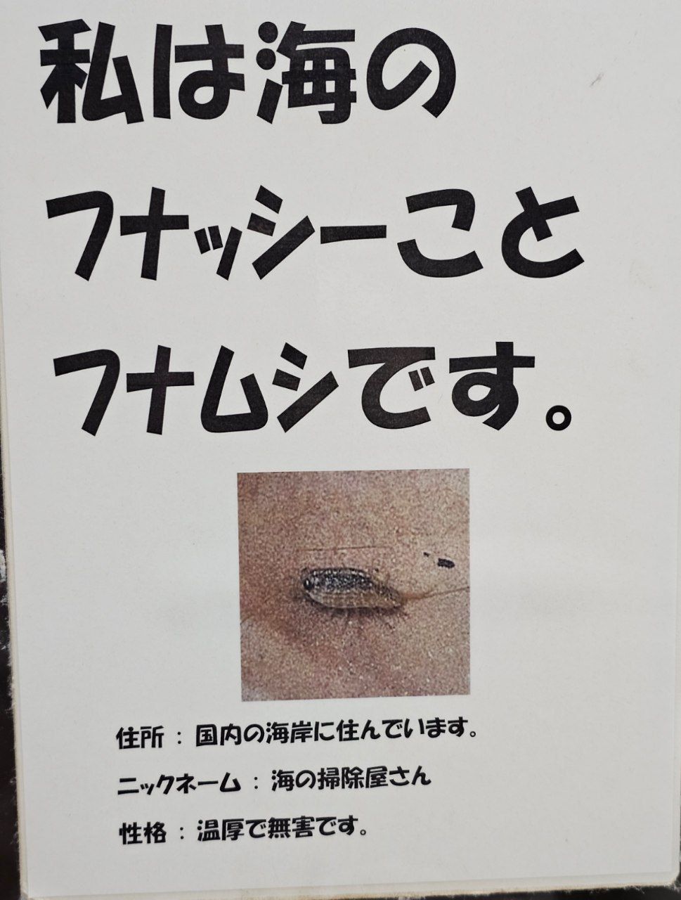 Hotel Urashima — photo 52