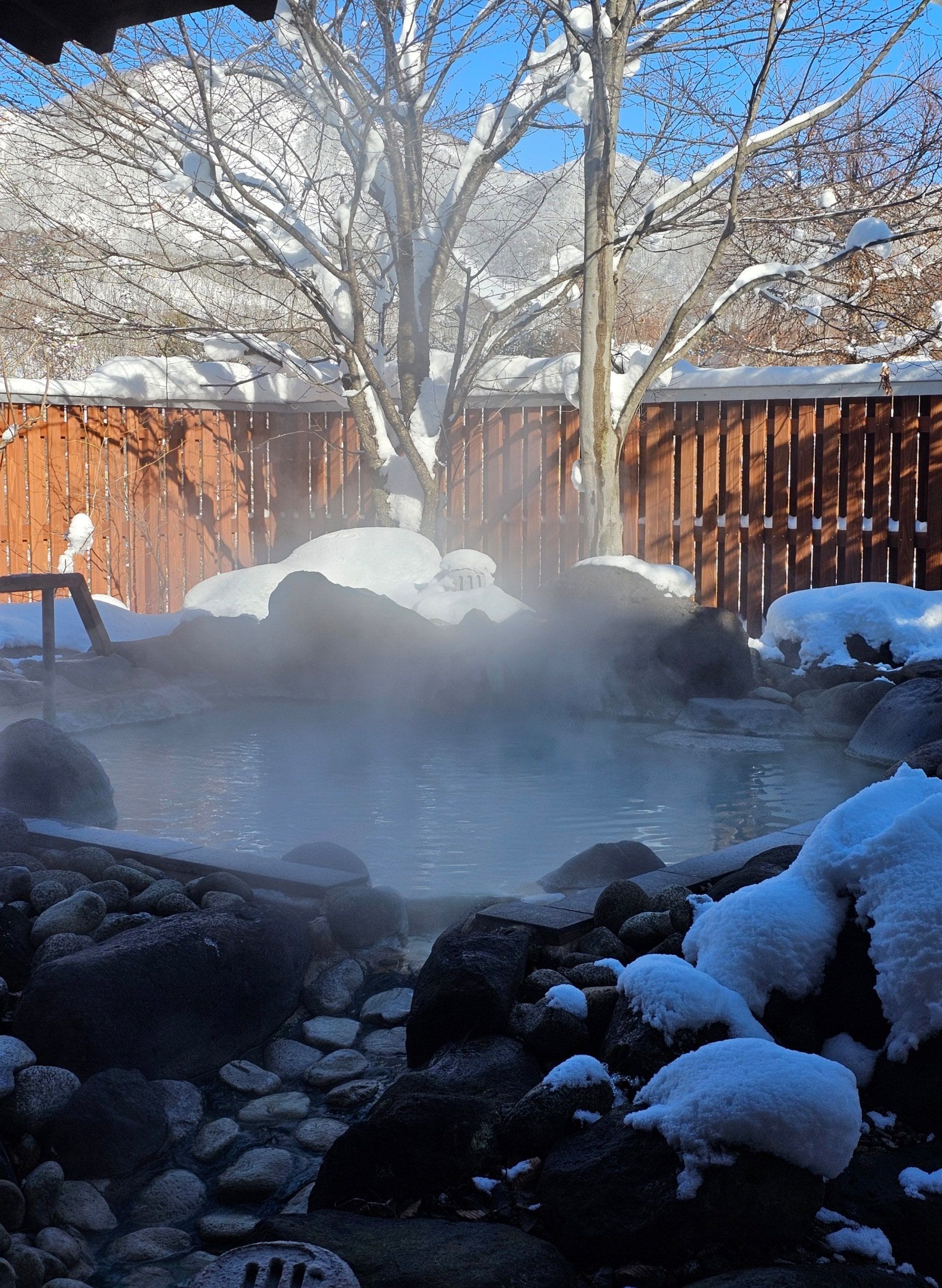 Hotel Zao Shiki, photo 5