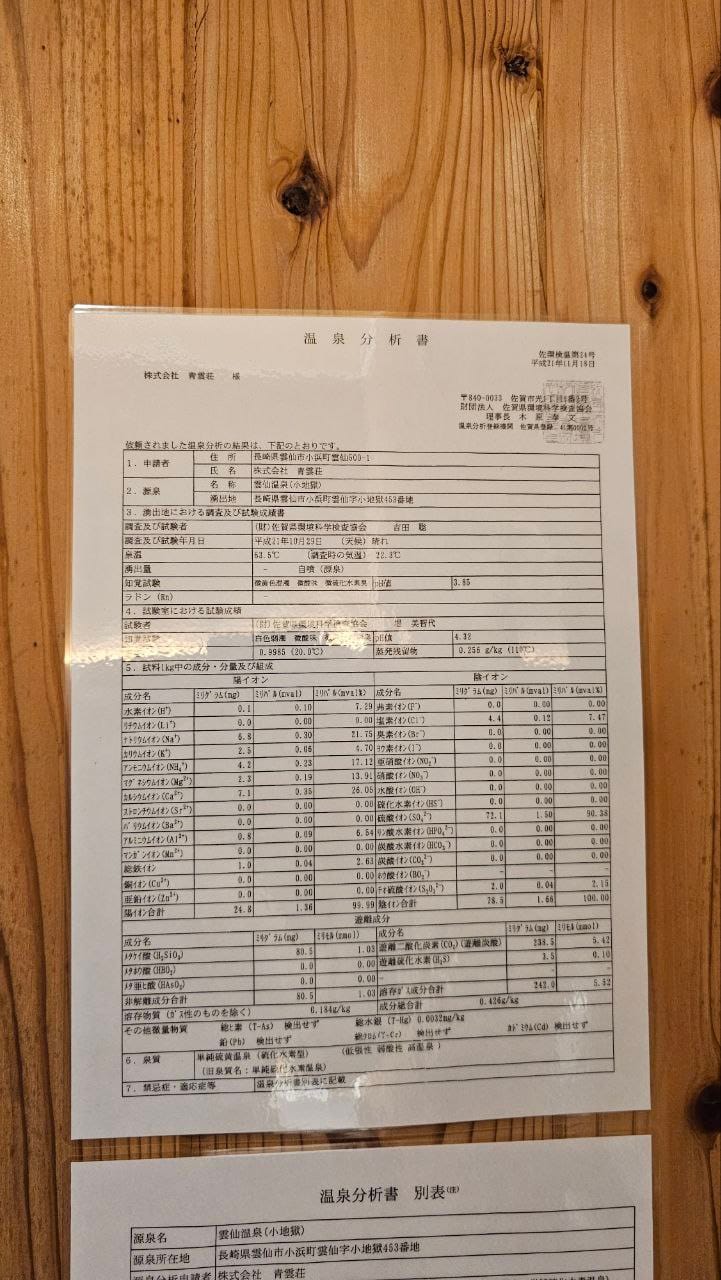 Unzen Onsen Seiunso — photo 8