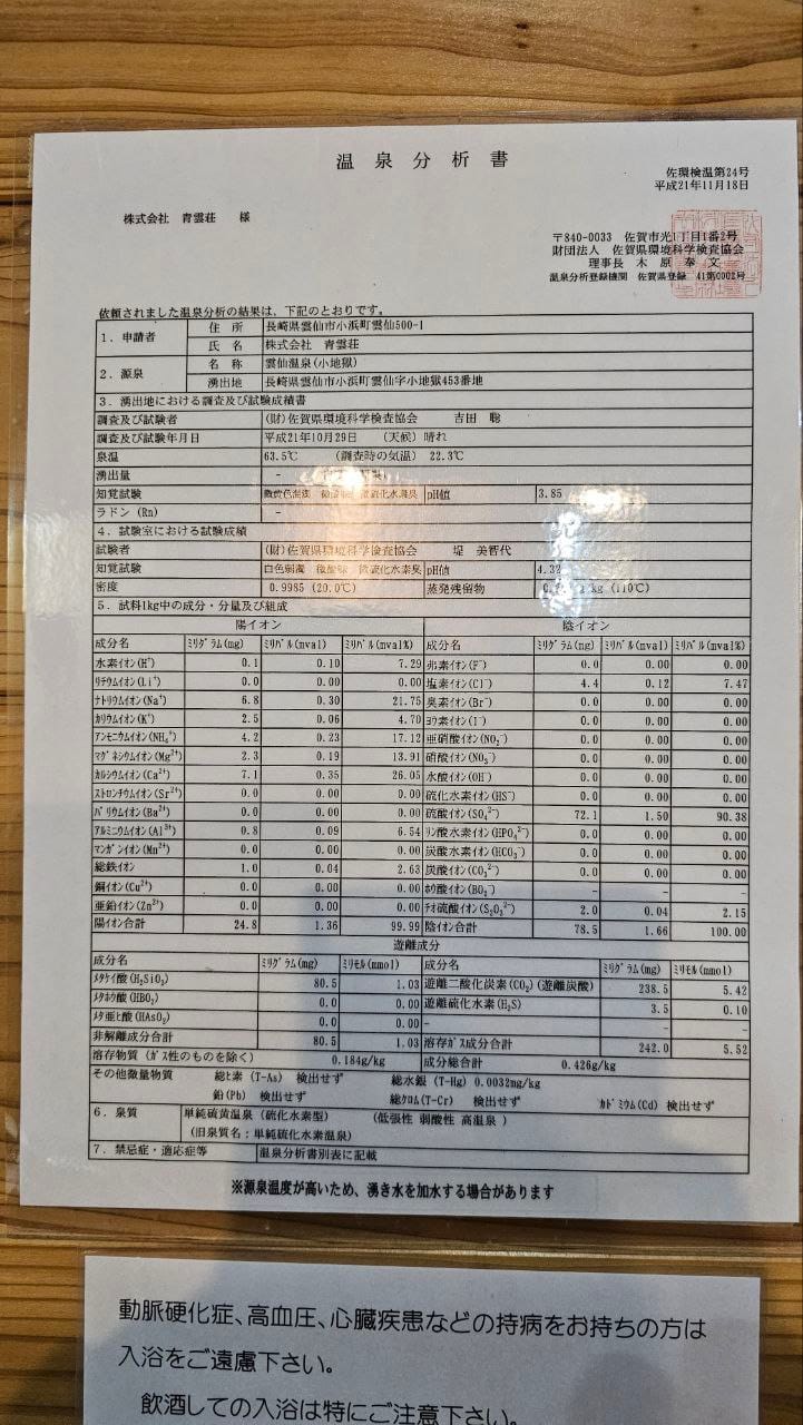 Unzen Onsen Seiunso — photo 11