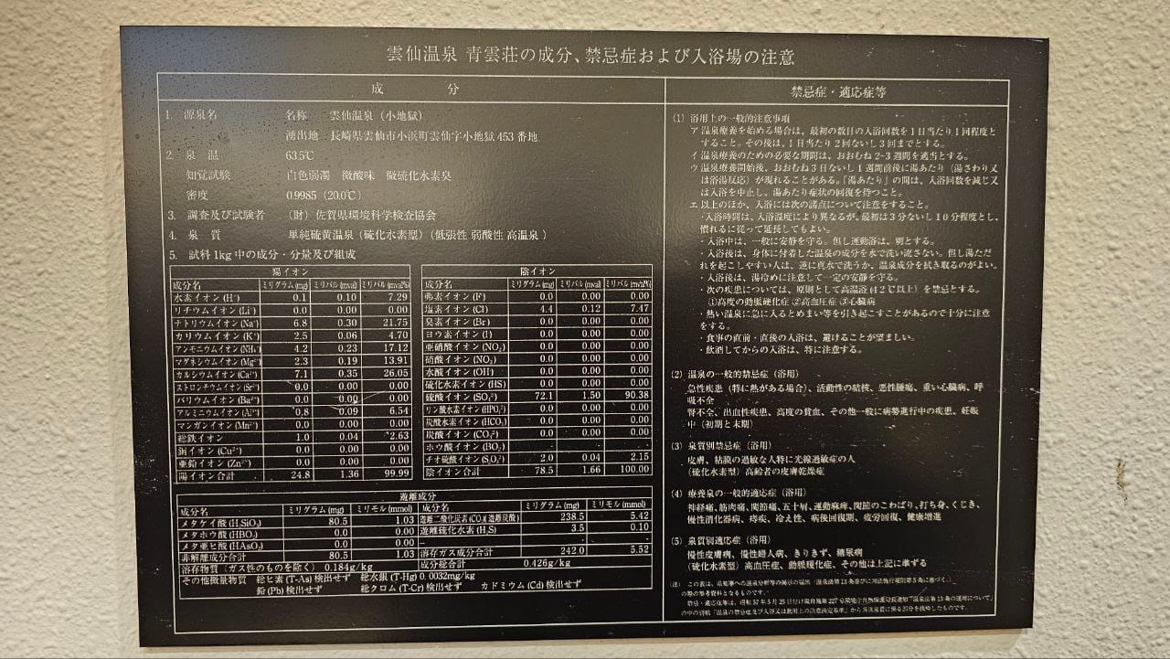 Unzen Onsen Seiunso — photo 5