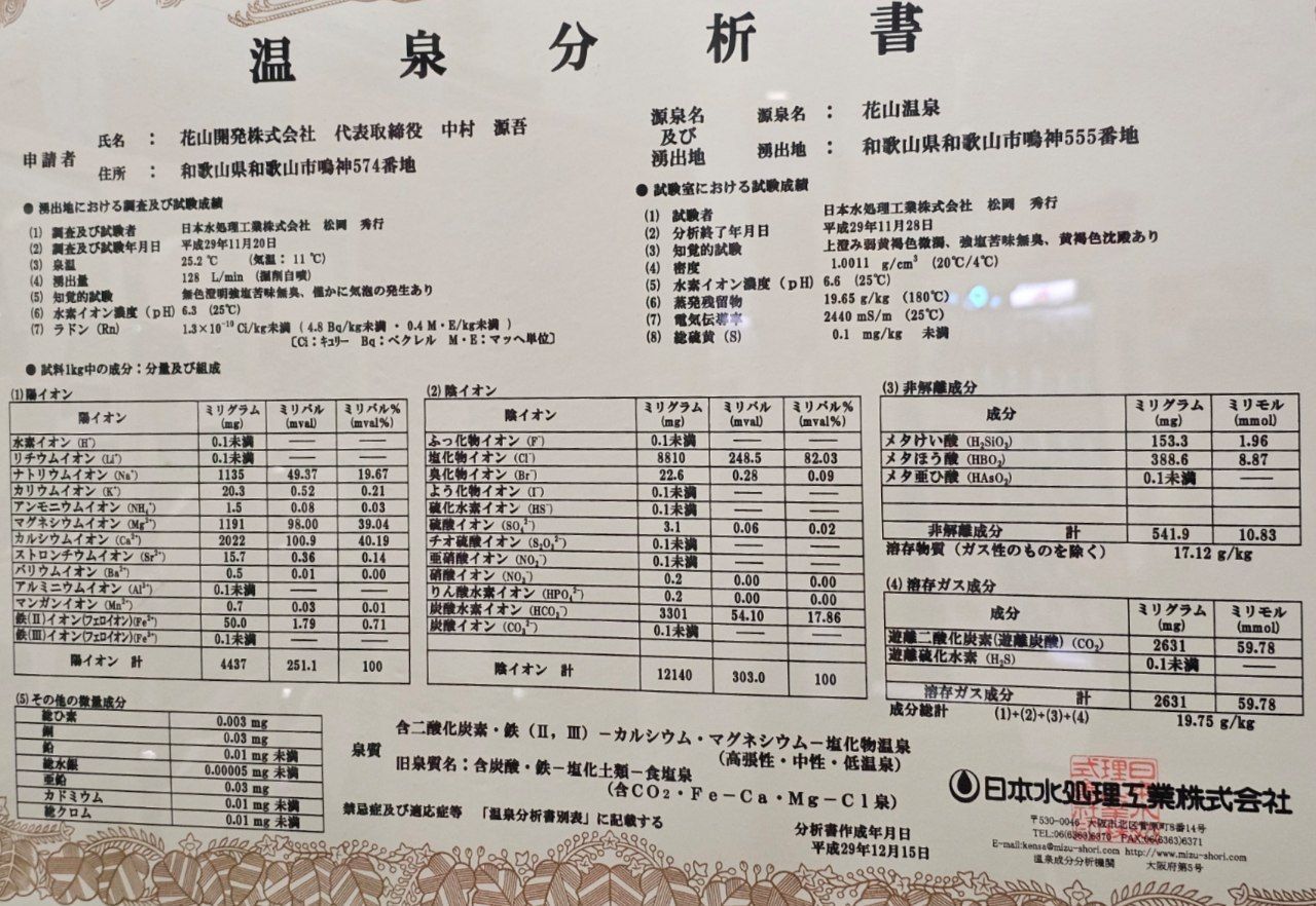 Hanayama Onsen Yakushi No Yu — photo 3