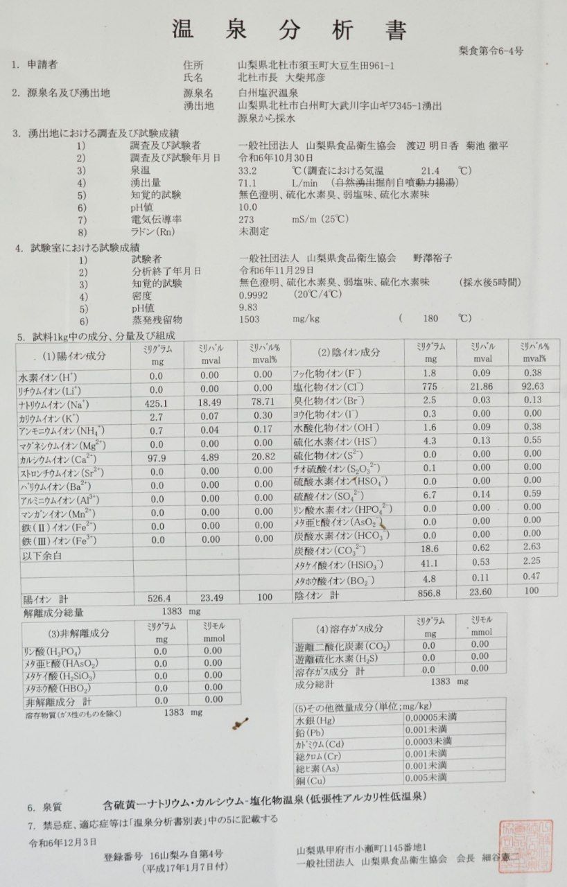 Hakushū Shiozawa Onsen Fossa･Maguna No Yu — photo 4