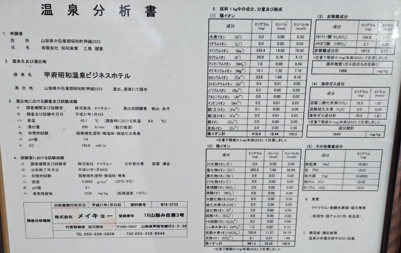 KōFu ShōWa Onsen Bijinesu Hoteru — photo 7