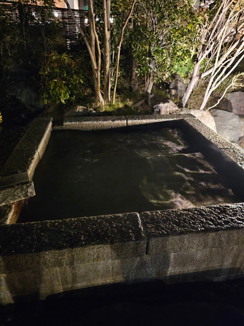 Morinoyu Resort — photo 5