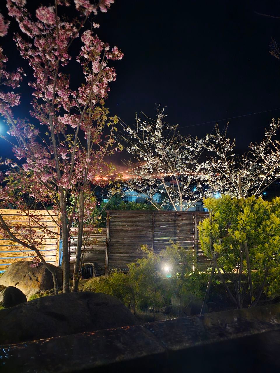 Morinoyu Resort — photo 8
