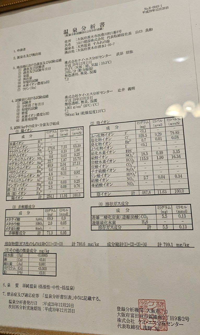 Saito Tennen Onsen Sumire-no-yu — photo 6