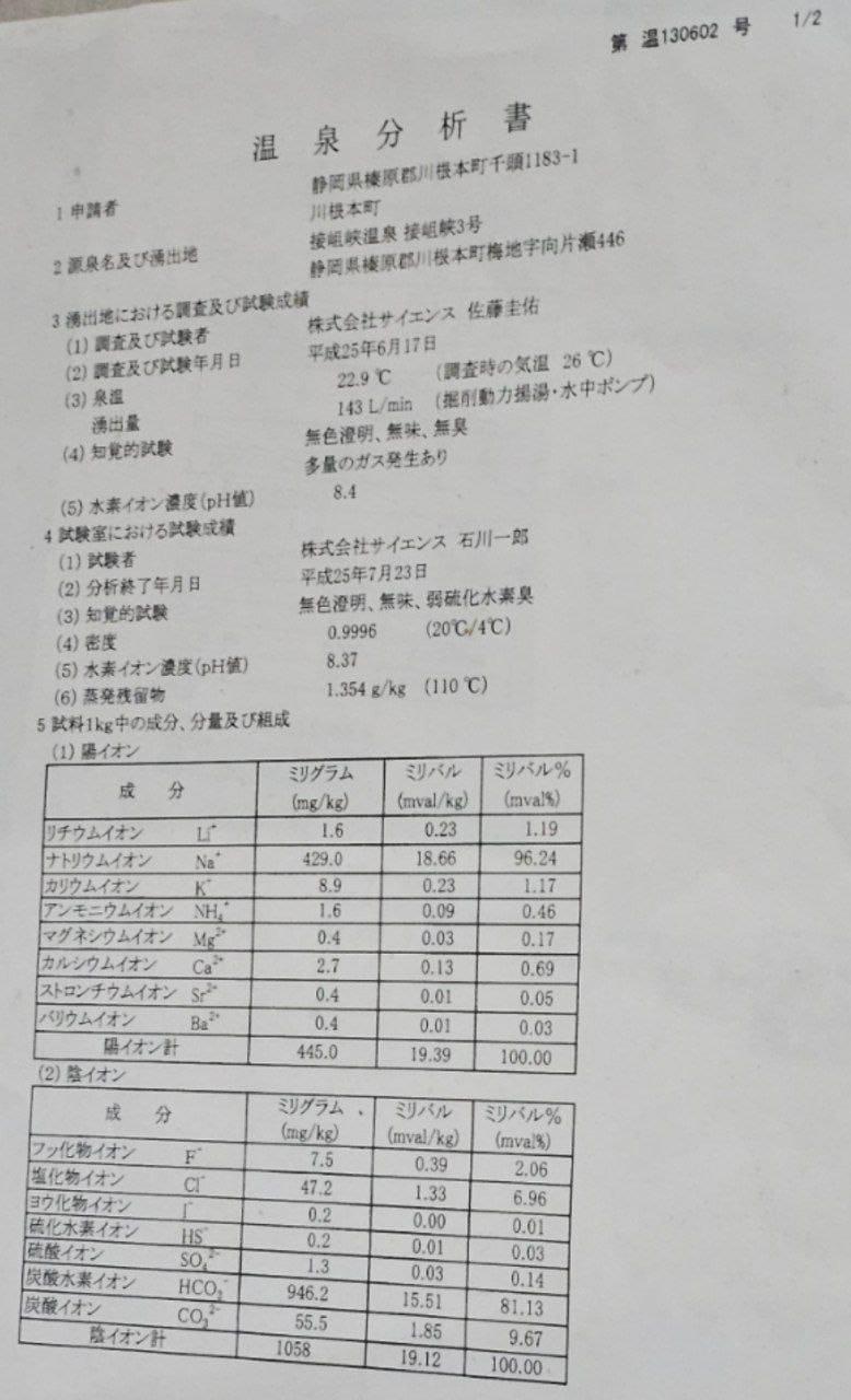 Sessokyo Onsen Forest Open-air Bath — photo 3