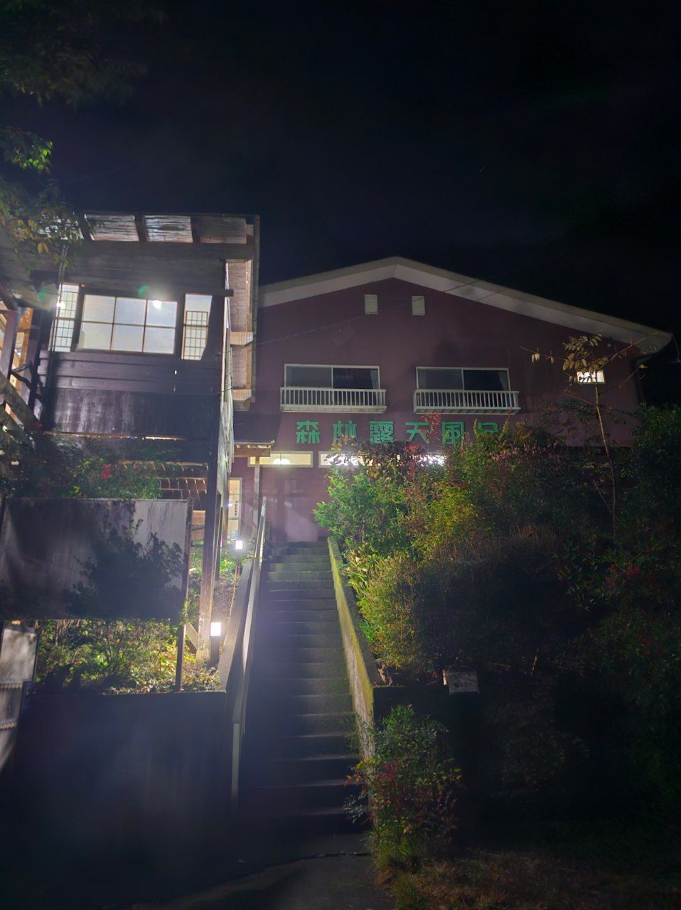 Sessokyo Onsen Forest Open-air Bath — photo 1