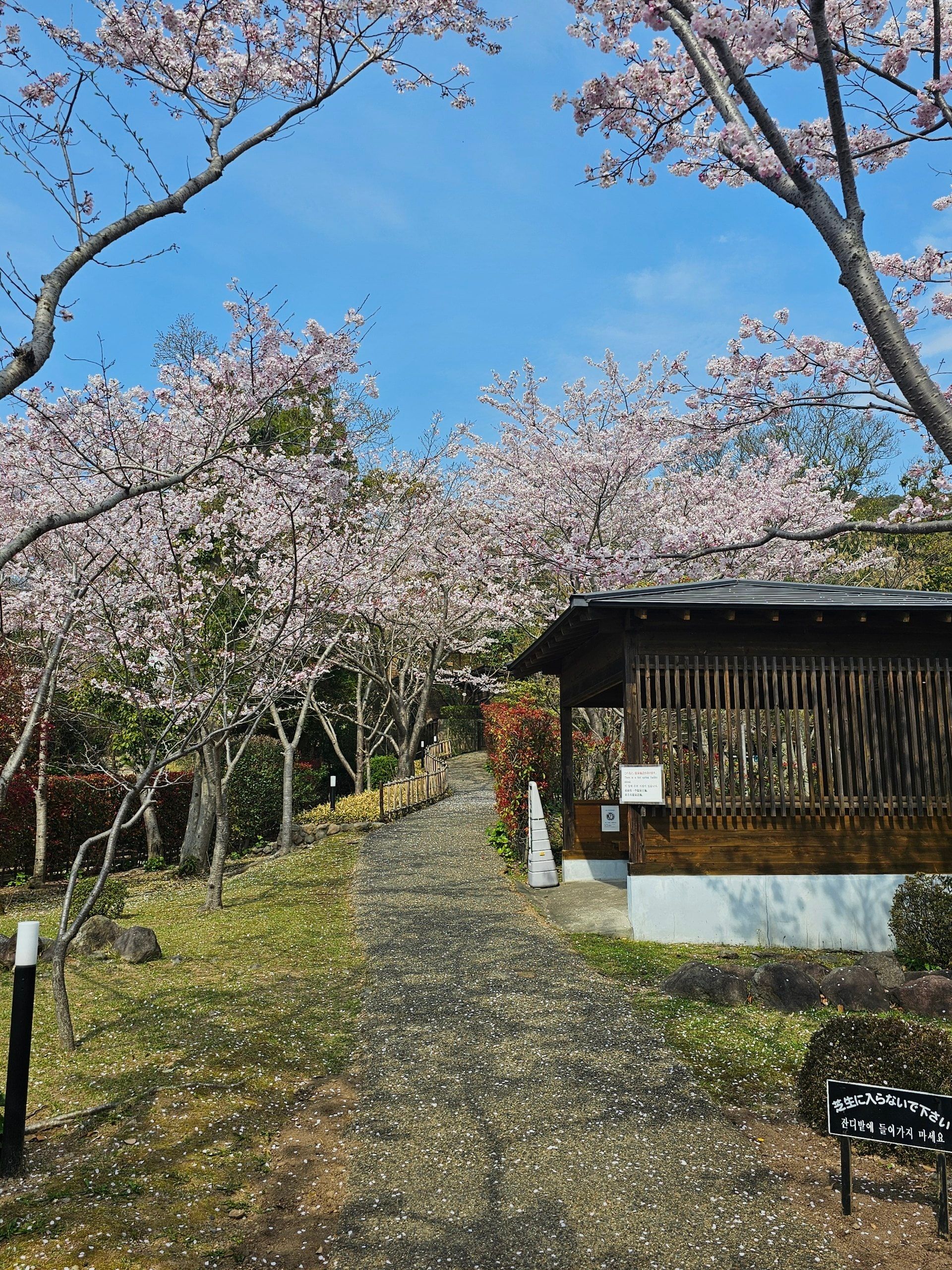 Oniishi No Yu 写真 3