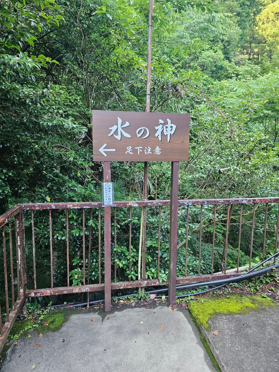 Kami Yu Sō — photo 3