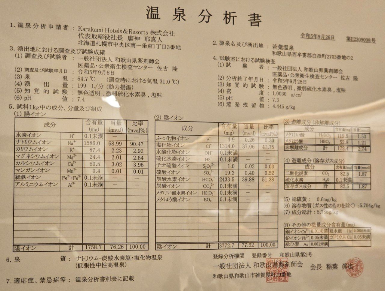 Oedo Onsen Monogatari Premium Shirahama Saichoraku — photo 9
