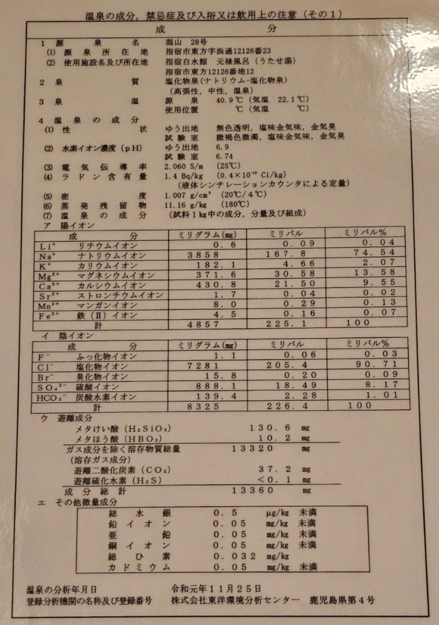 Ibusuki Hakusuikan — photo 22