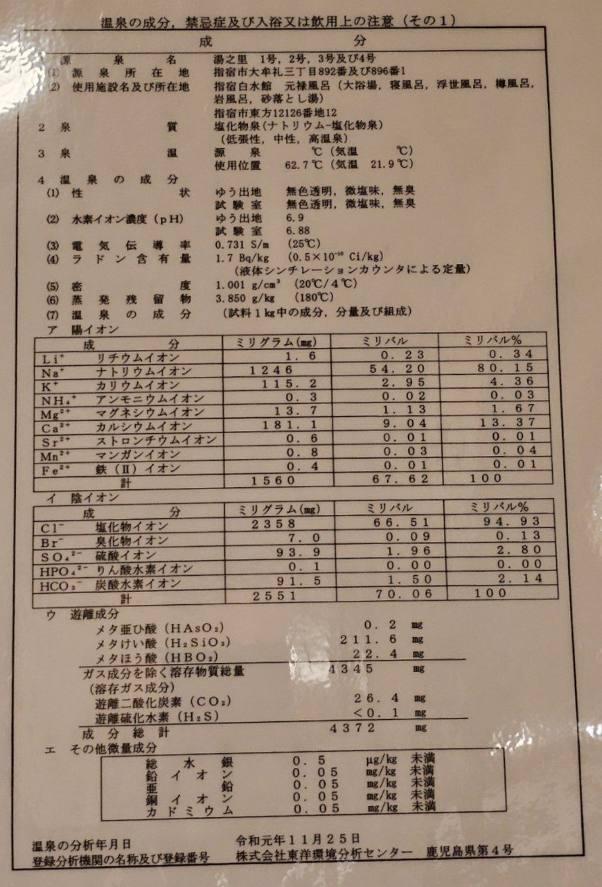 Ibusuki Hakusuikan — photo 21