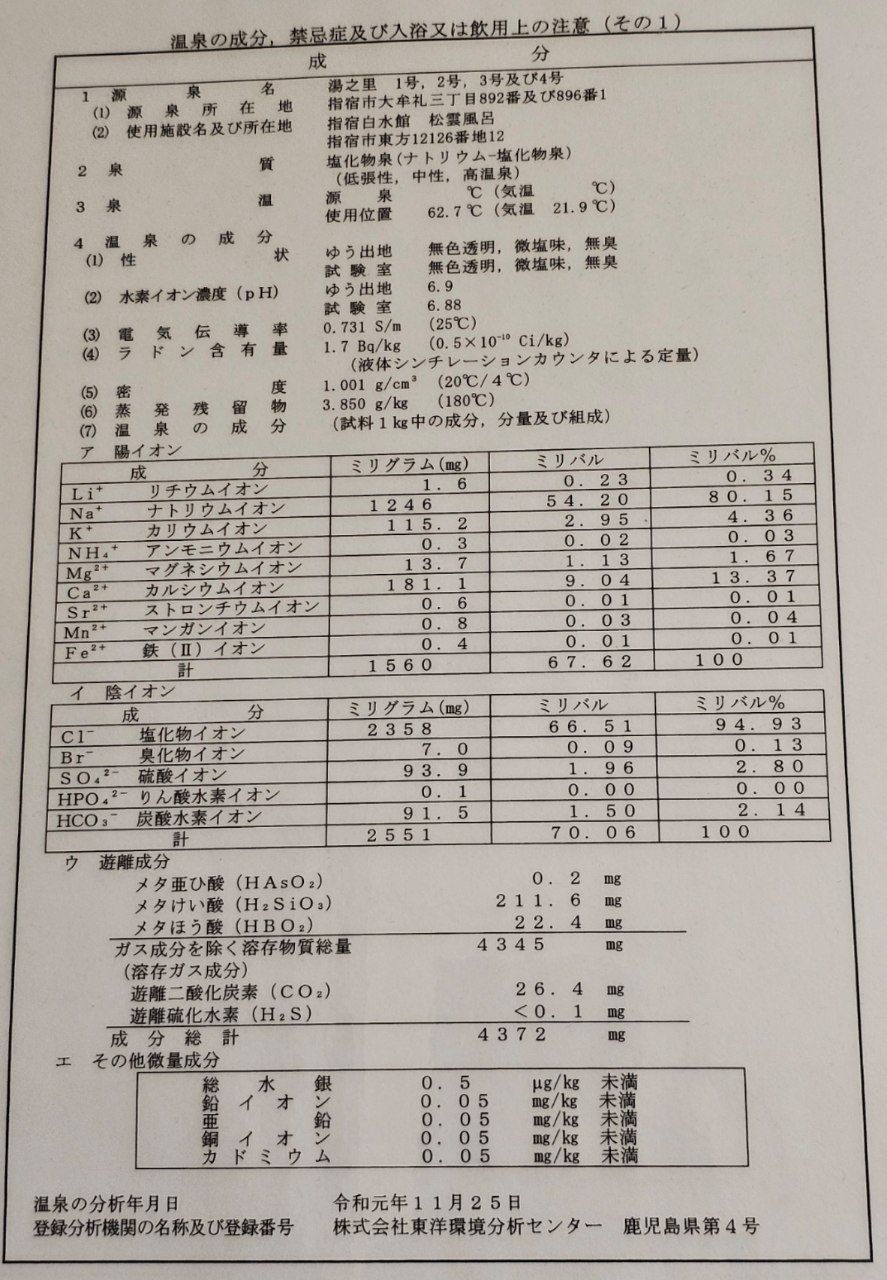 Ibusuki Hakusuikan — photo 20