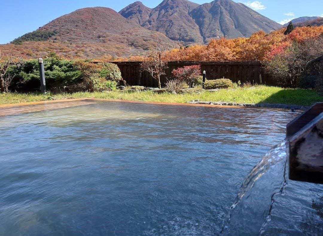 Hoshi Sei Onsen Yama Megumi No Yu — photo 8