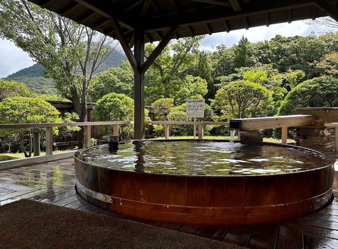 Hoshi Sei Onsen Yama Megumi No Yu — photo 5
