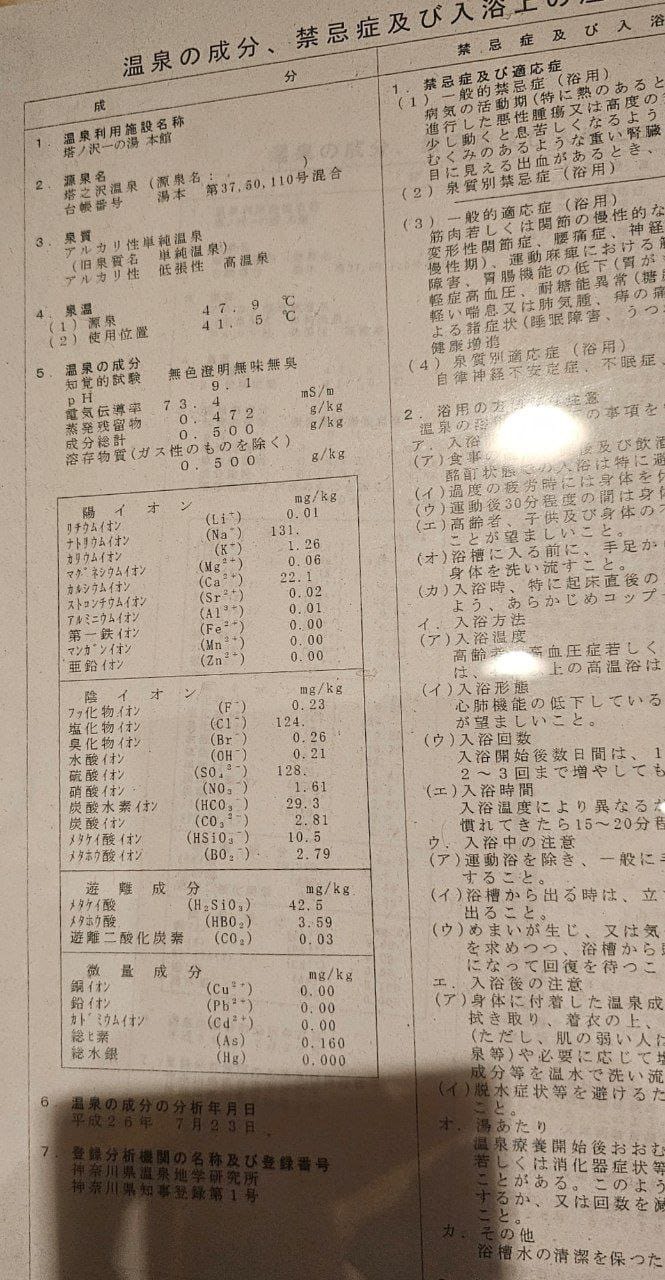 Tōnosawa Ichinoyu Honkan — photo 3