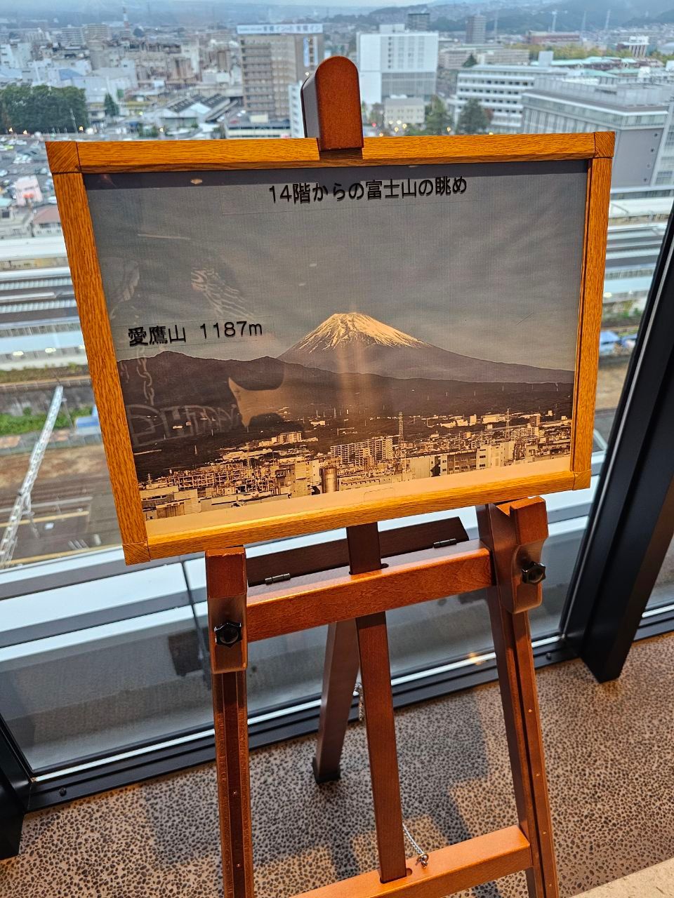 Fujisan Mishima Tokyu Hotel — photo 4