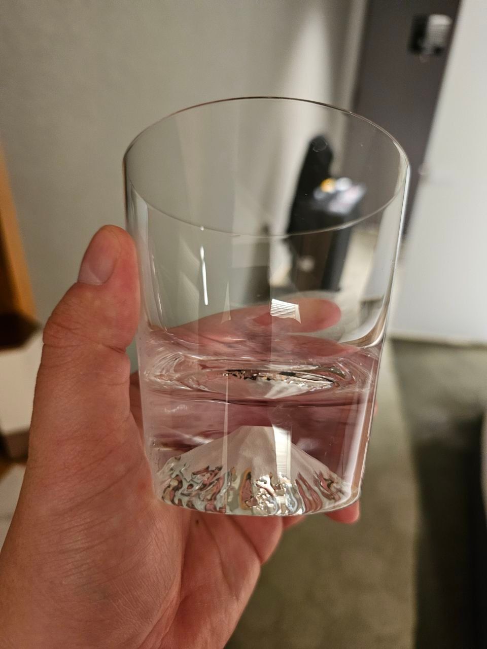 Fujisan Mishima Tokyu Hotel — photo 3