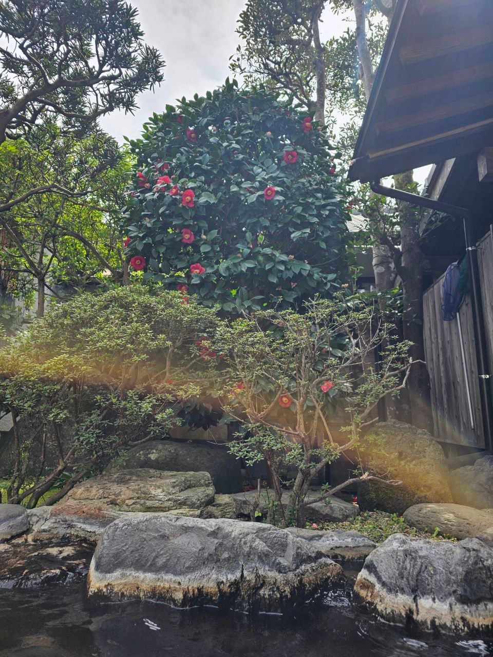 SHOEN Ureshino — photo 3