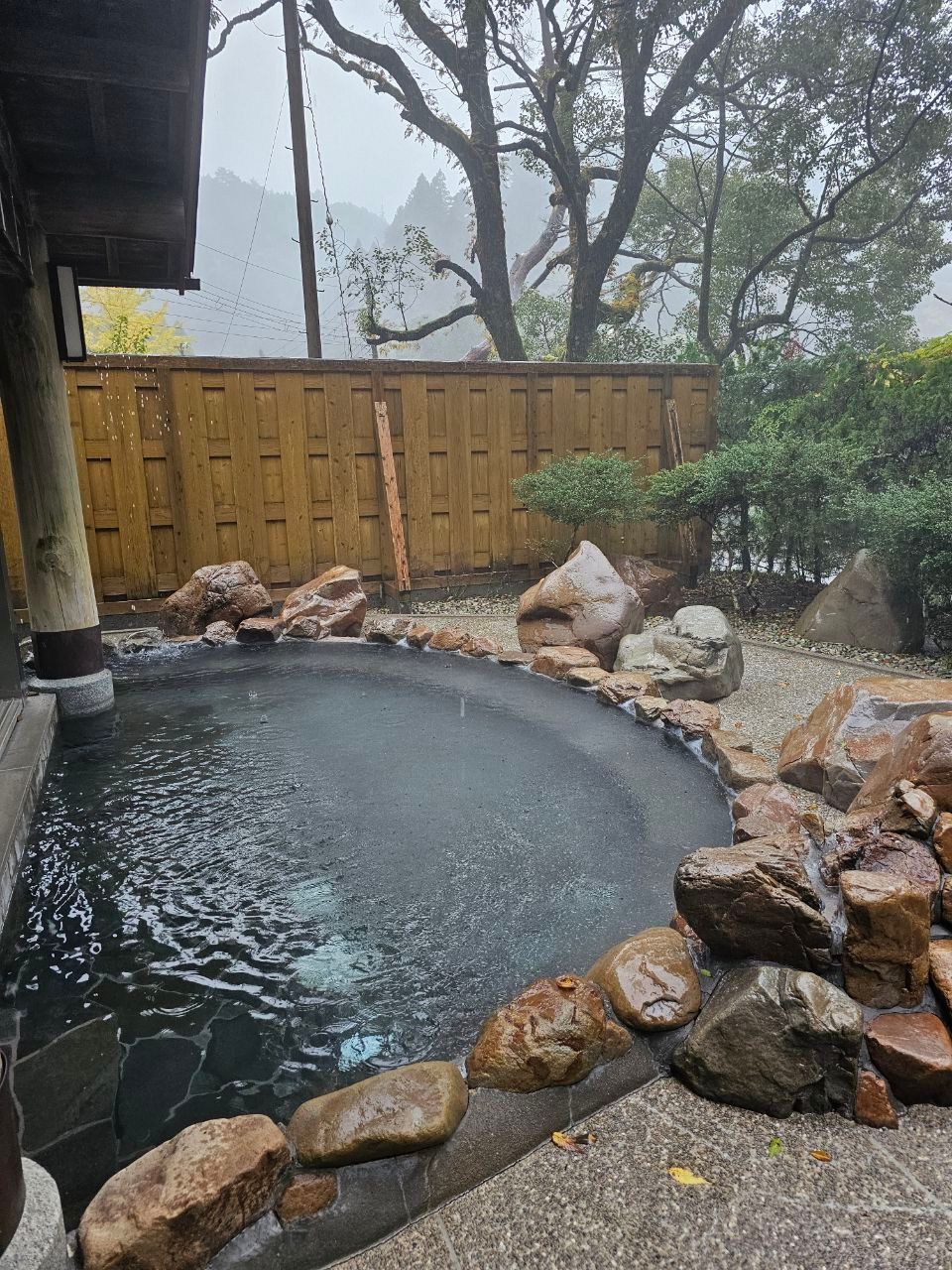 Nyu Yamasemi Onsen-kan — photo 2