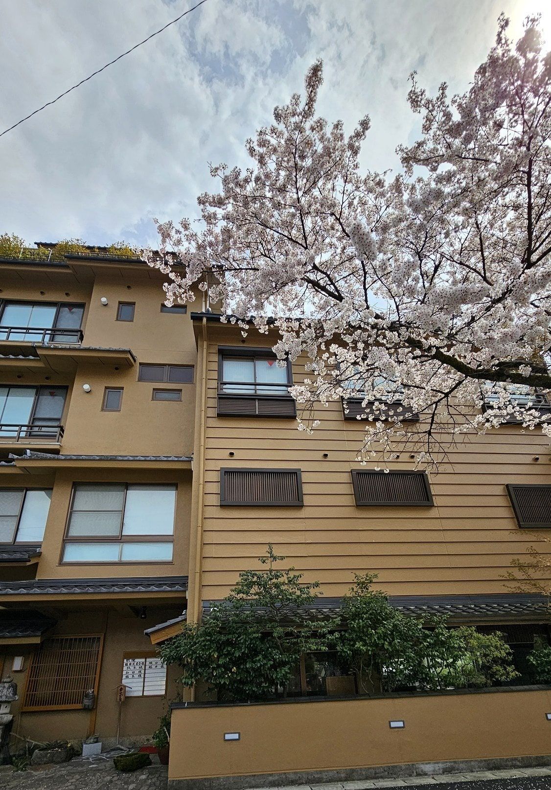 Kissenkan Hotel, photo 1