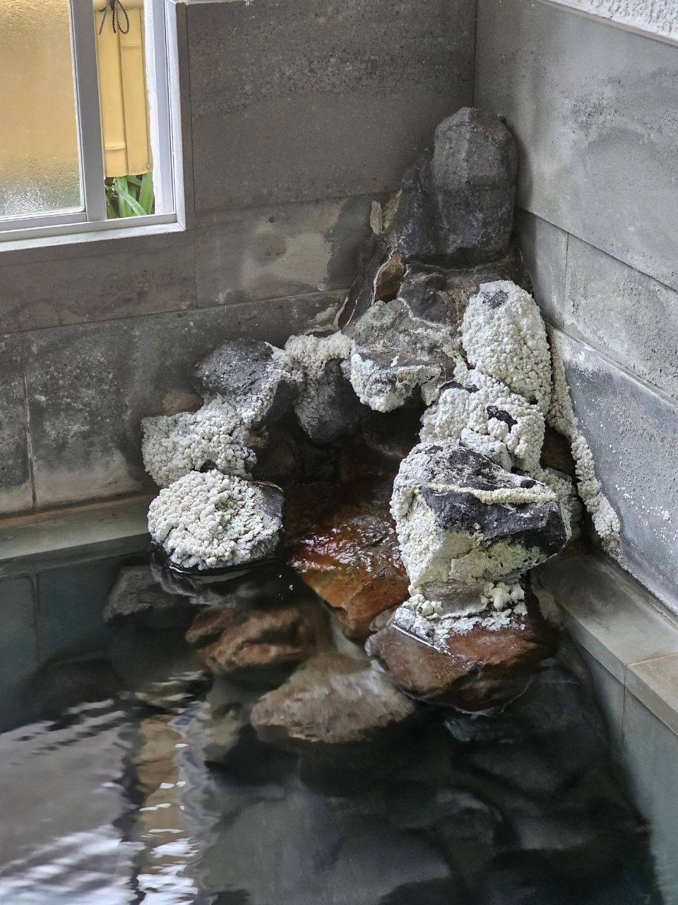Robatakan — photo 8