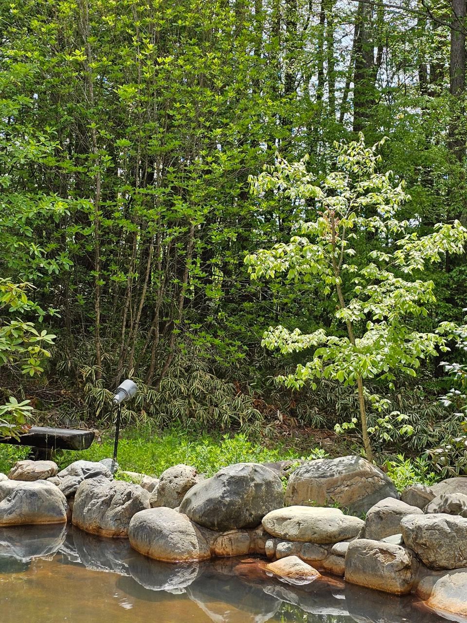 AkuarizōTo Kiyosato Tennyo No Yu — photo 4