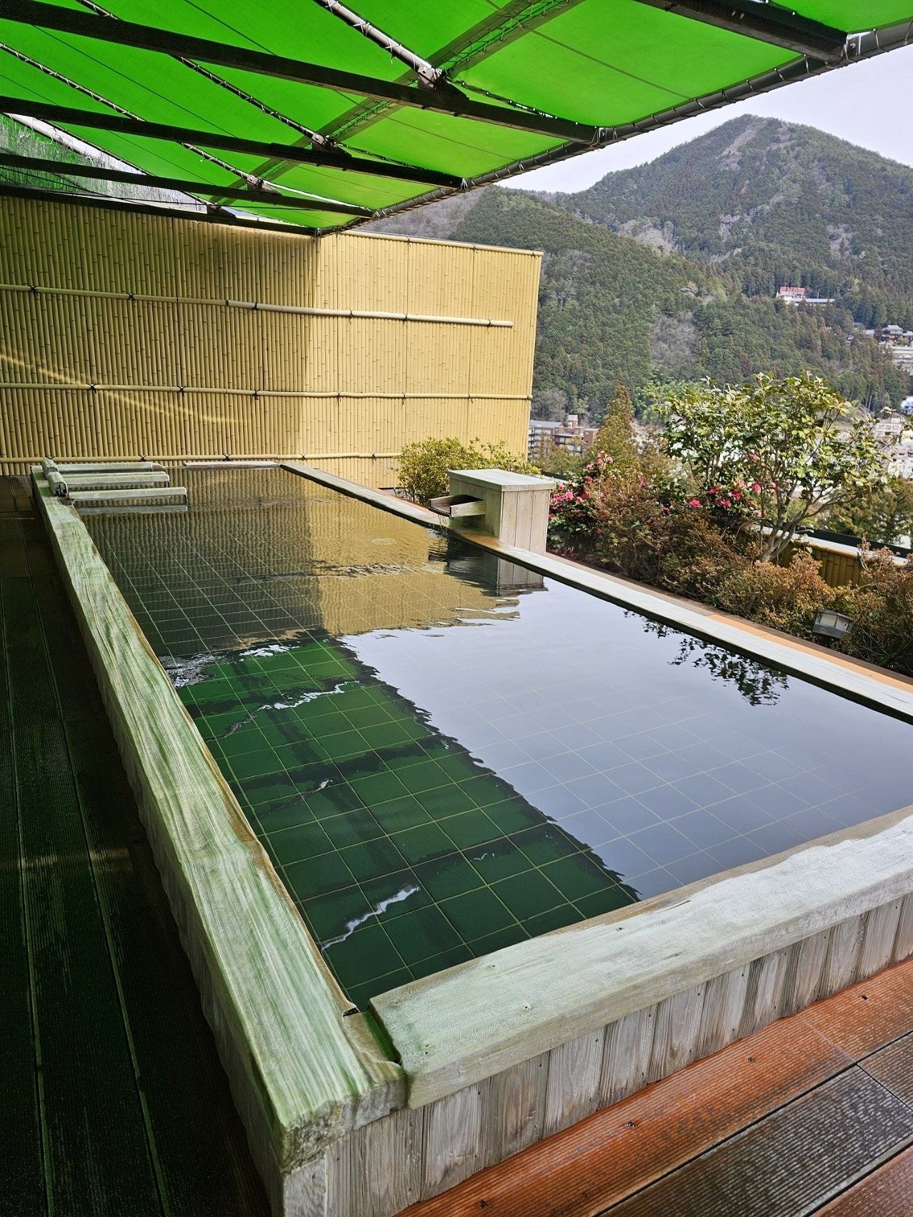 Kusakabe Armeria, photo 2