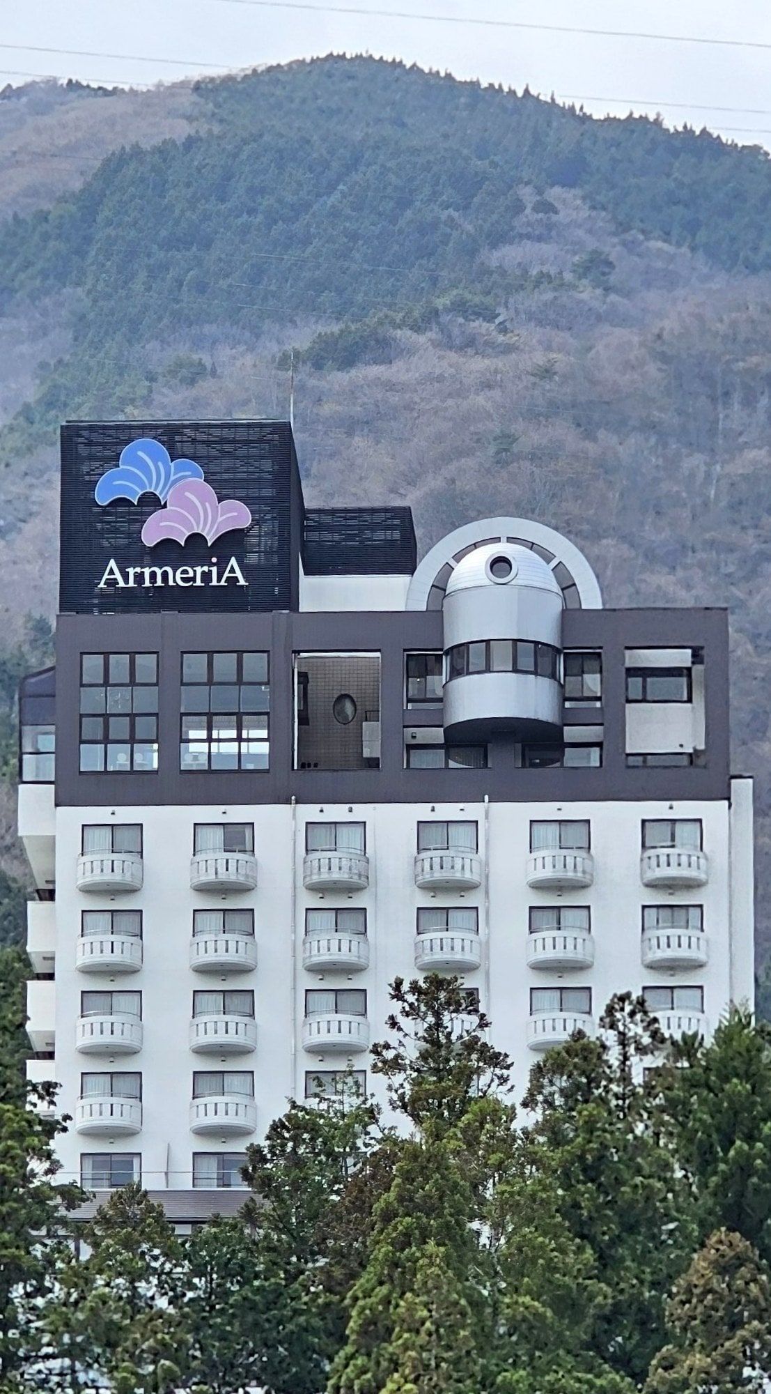 Kusakabe Armeria, photo 1