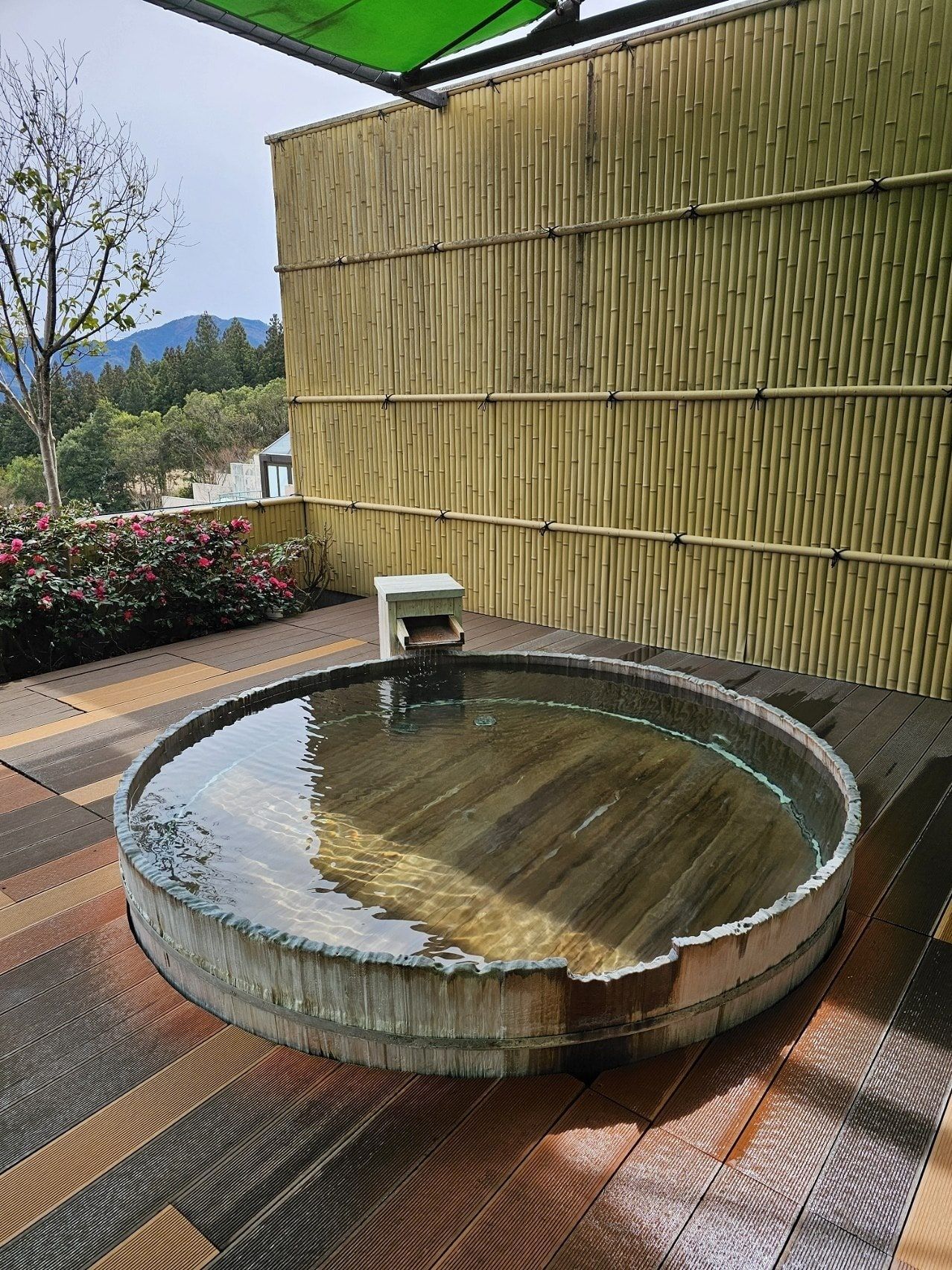 Kusakabe Armeria, photo 9