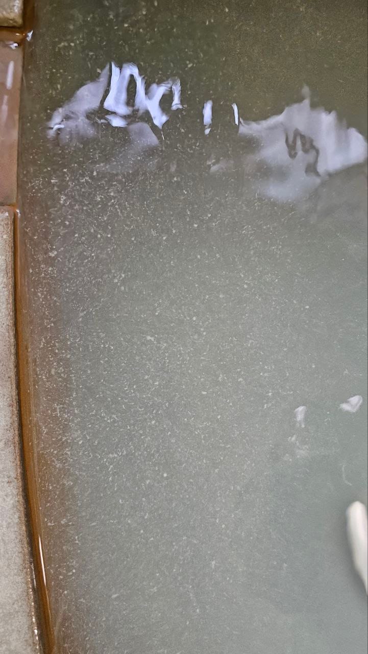 Ryokan Masuya — photo 10