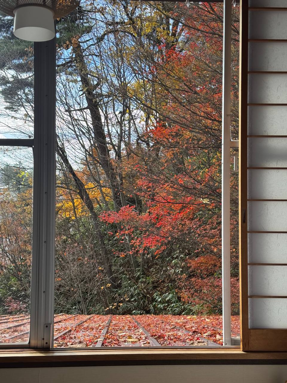 Kirishimaya Ryokan — photo 5