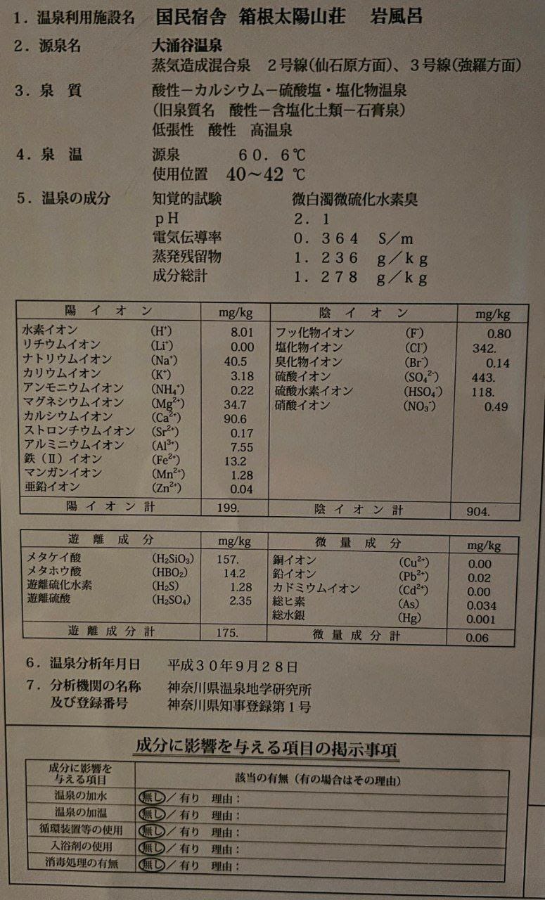 Kokuminshukusha Hakonetaiyosanso — photo 3