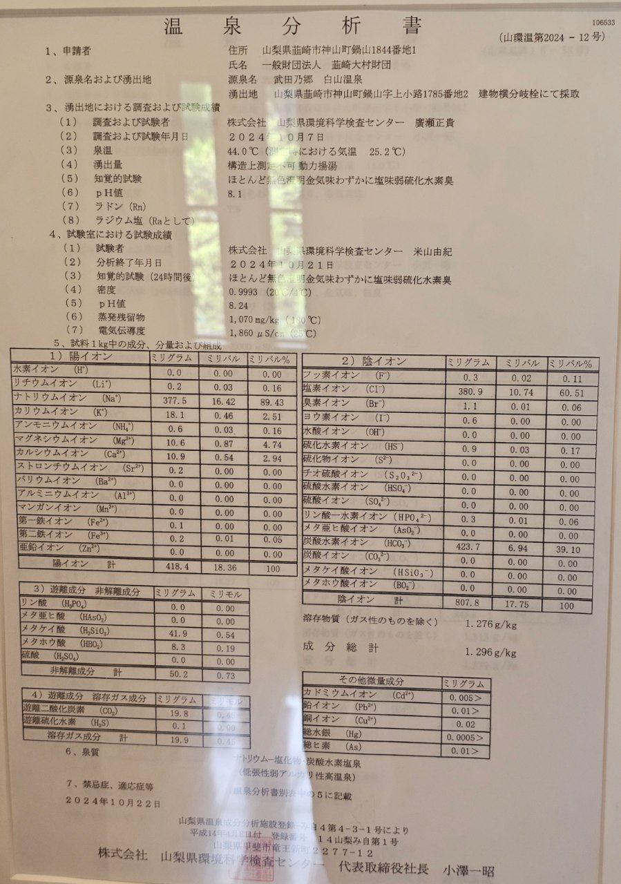 Takeda 乃 Sato Hakusan Onsen — photo 2