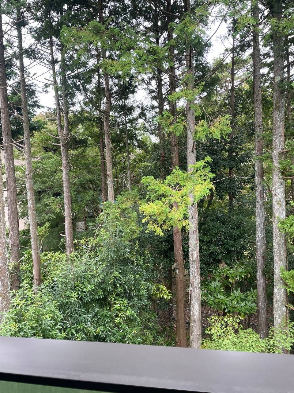 Rakuten Stay Villa Hakone Sengokuhara N, photo 2
