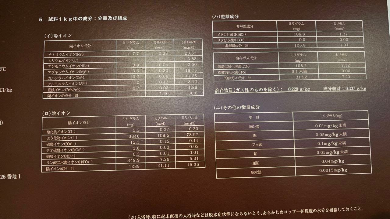 Yukai Resort Unzen Toyokan — photo 7