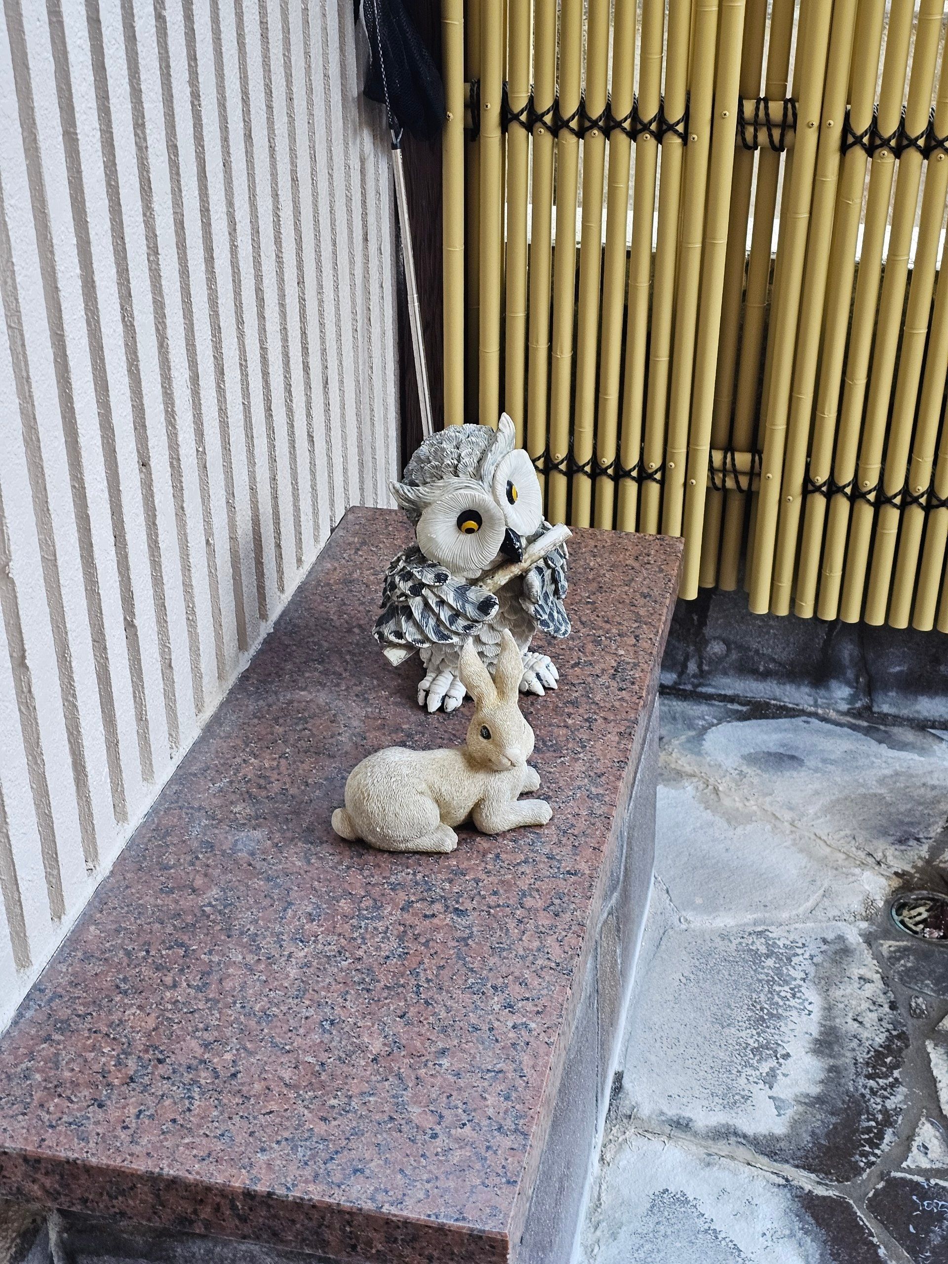 Ayameya Ryokan, photo 4