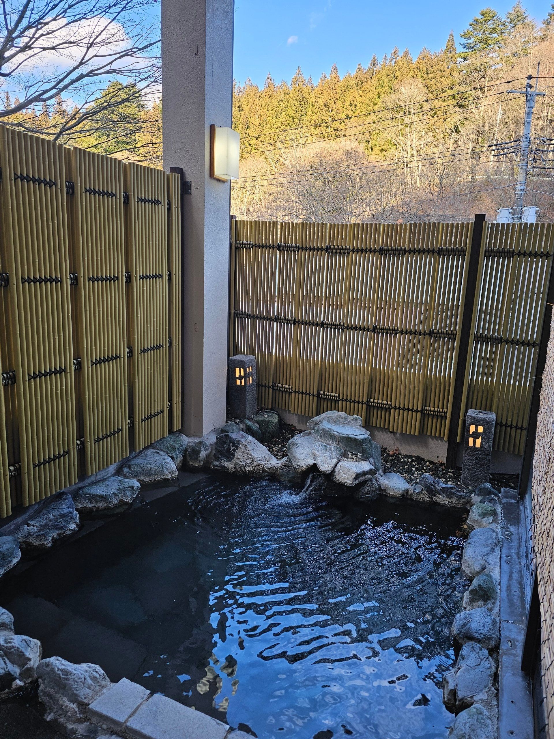Ayameya Ryokan, photo 3