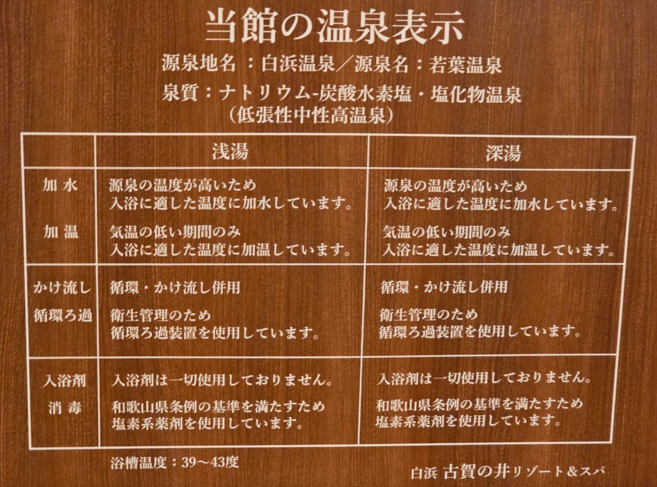 Shirahama Coganoi Resort & Spa — photo 9