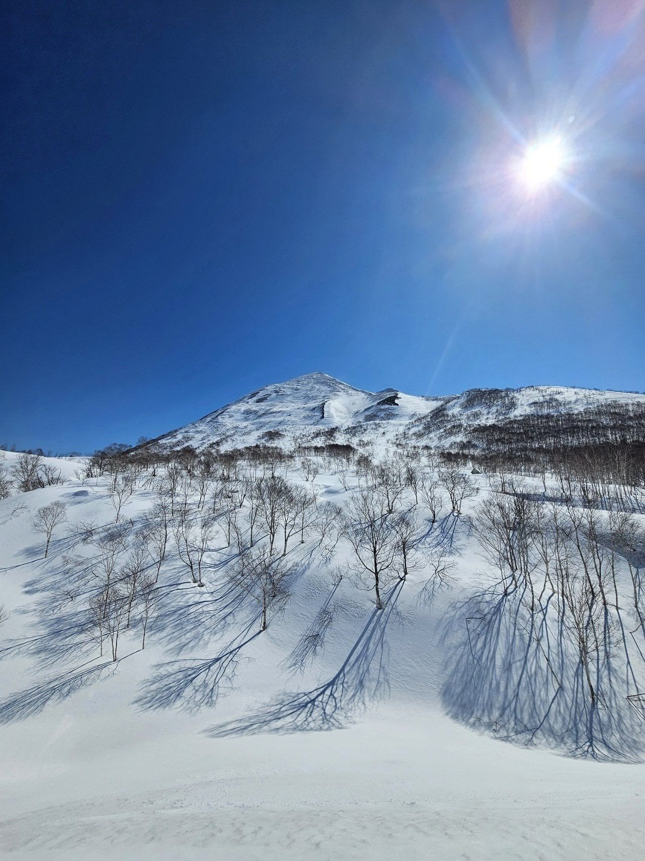 Goshiki Onsen Wild Hot Spring, photo 3