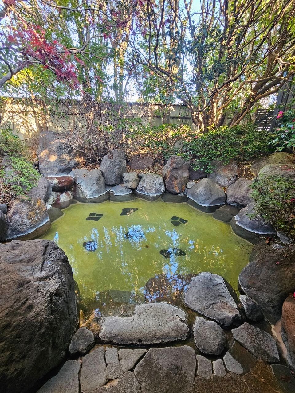 Ryokan Yunooka, photo 6