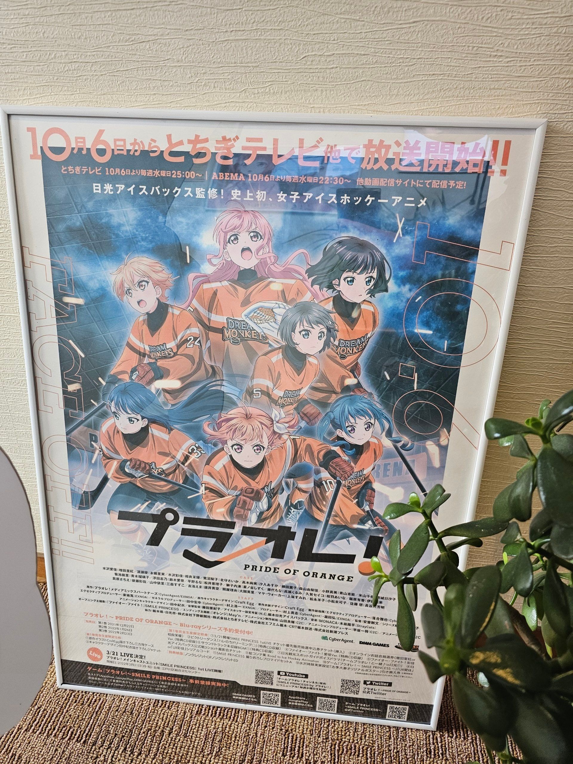 Kinu No Yado Shikiotoro, photo 4