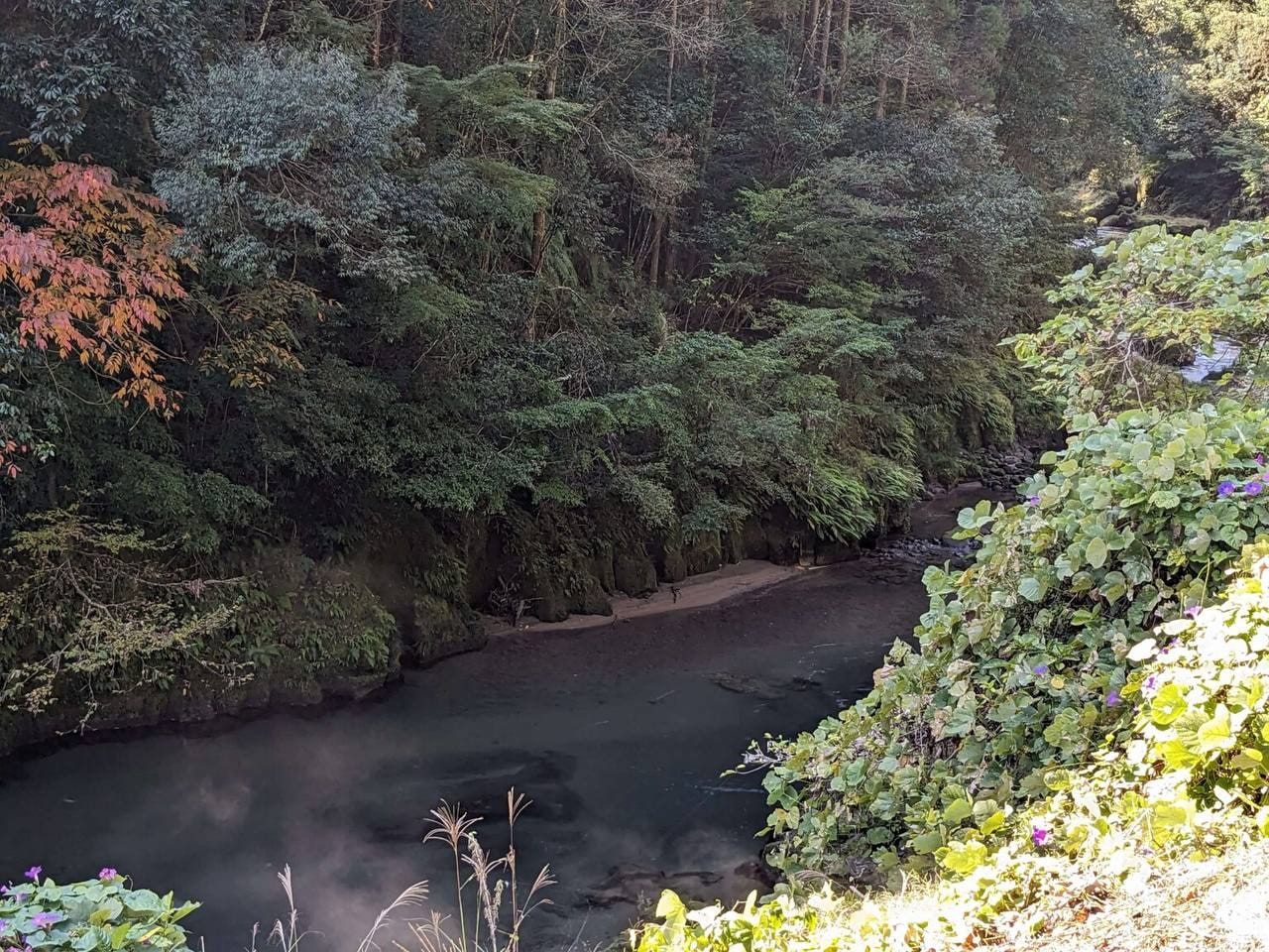 Hinode Onsen Kinoko no Sato (Kirishima Onsen), photo 4