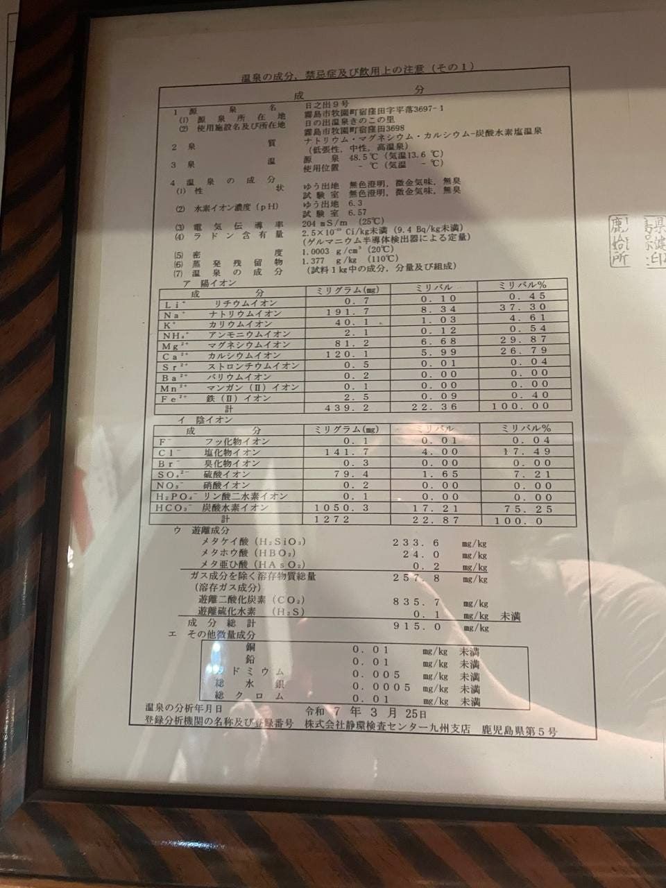 Hinode Onsen Kinoko no Sato (Kirishima Onsen), photo 7